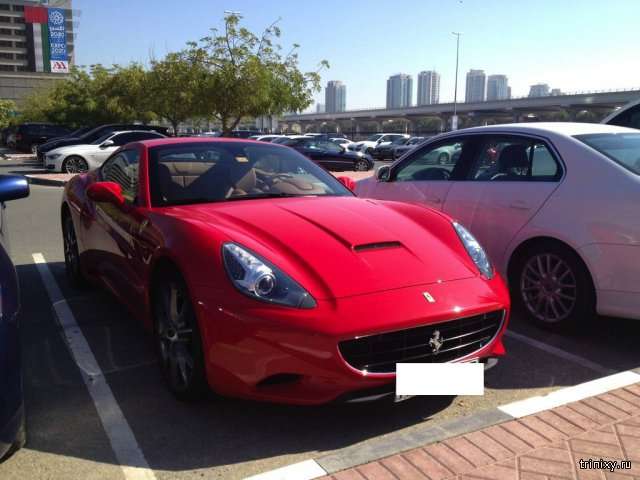 Автомобілі на студентській парковці в Дубаї (19 фото)