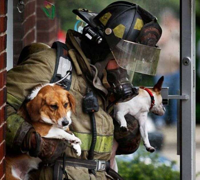 Пожежники і врятовані ними тварини (47 фото)