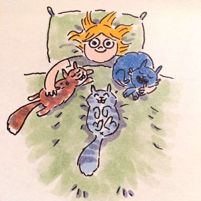 Смішні і правдиві комікси про життя з котом (15 картинок)