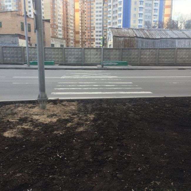 Суворі російські пішохідні переходи (18 фото)