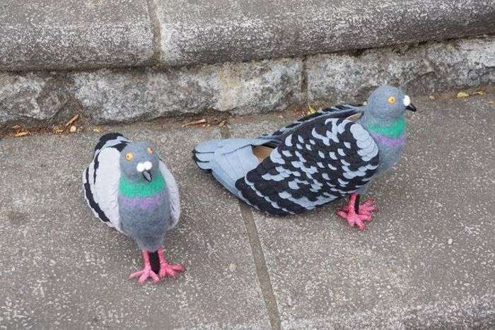 Туфлі у вигляді голубів (6 фото)