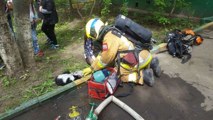 Пожежники врятували тварин (4 фото)
