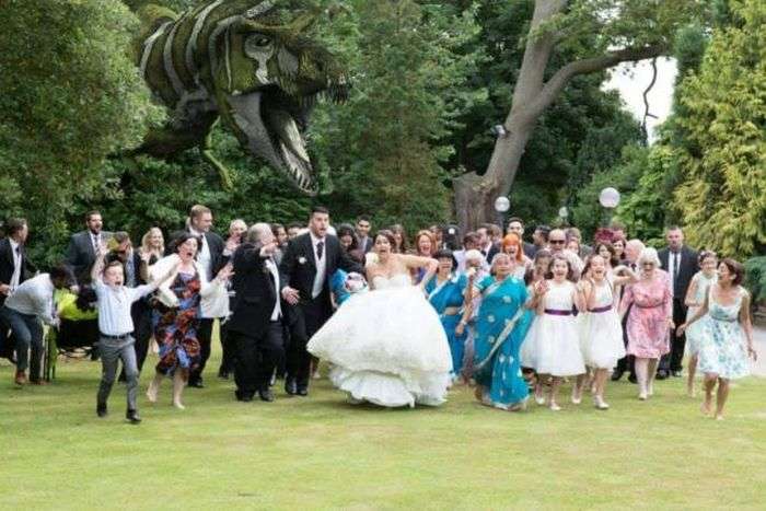 Кумедні весільні фото (48 фото)