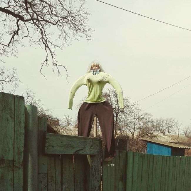 Білоруський гумор (21 фото)