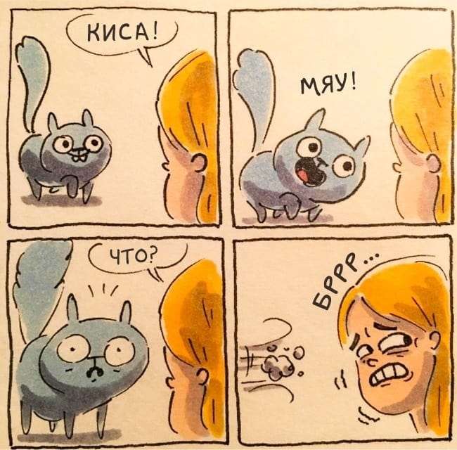 Смішні і правдиві комікси про життя з котом (15 картинок)