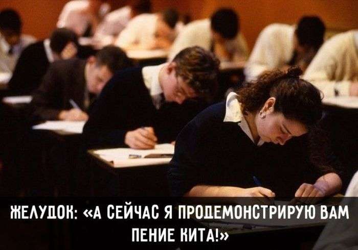 Інтелектуальний гумор (18 картинок)