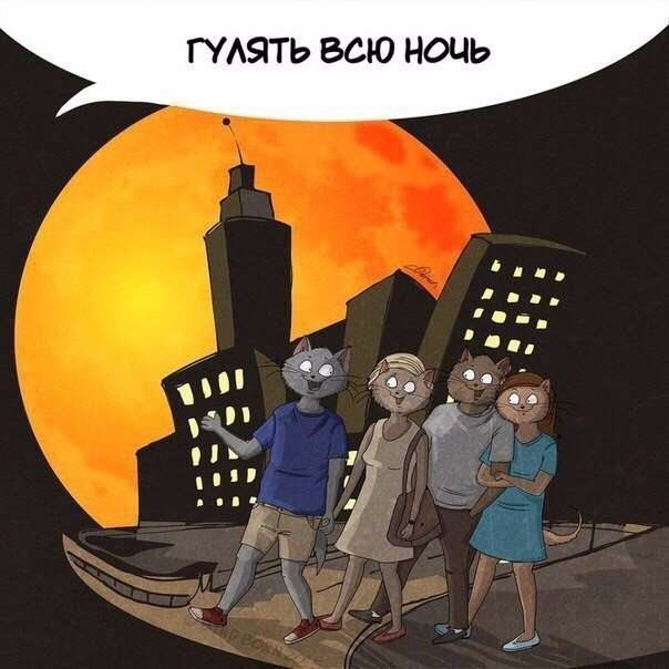 За що ми любимо літо (10 картинок)