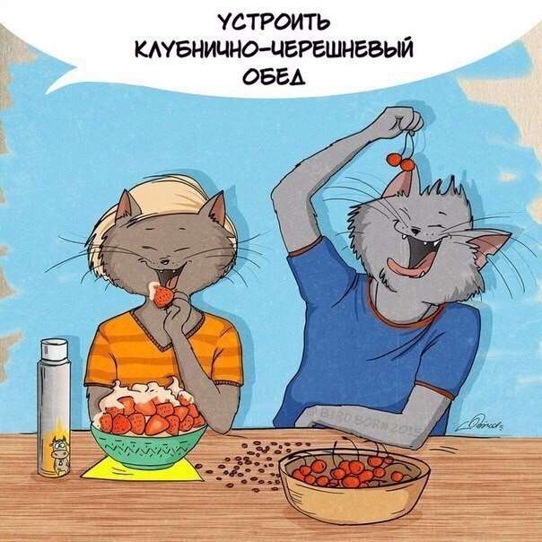 За що ми любимо літо (10 картинок)