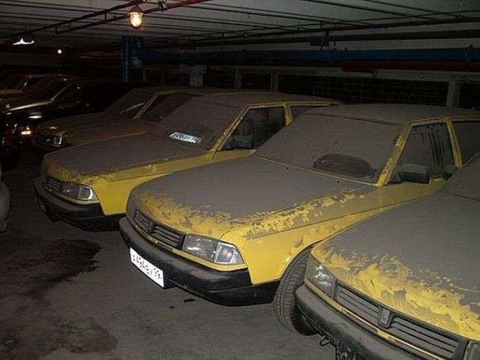 Масова знахідка законсервованих «Москвичів» (5 фото)
