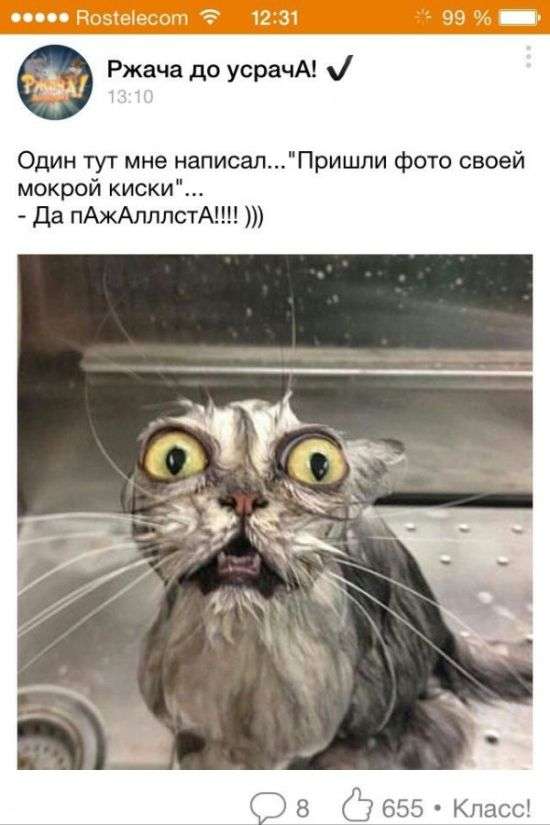 Приколи з «Однокласників» (33 фото)