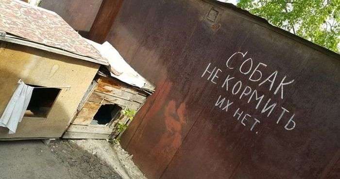 Прикольні вивіски і оголошення (31 фото)
