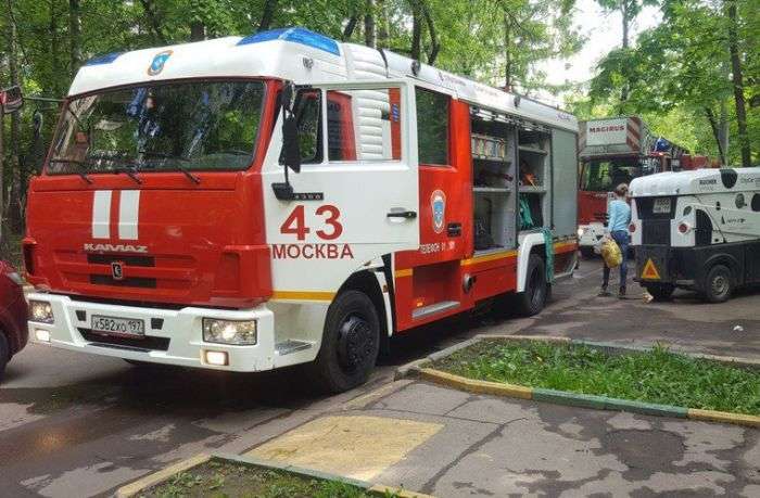 Пожежники врятували тварин (4 фото)