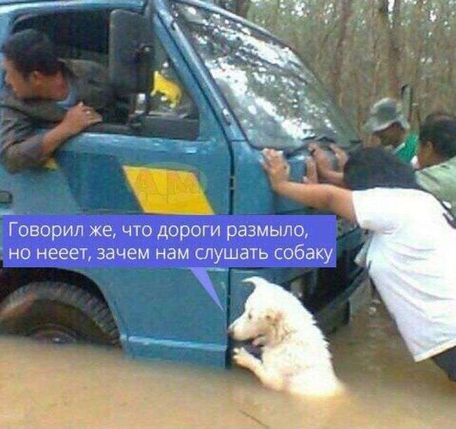 Підбірка легкого гумору. Частина 4 (34 фото)