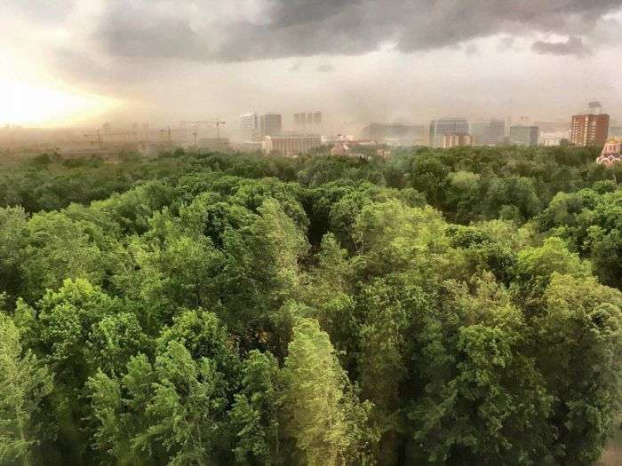На Москву обрушився ураган (18 фото + 3 відео)