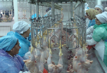 10 найжахливіших професій