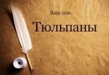 Чорні і білі методи