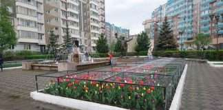 Антивандальні клумби Красноярська (2 фото)