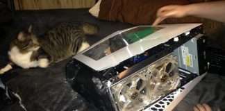 Зламався компютер (7 фото)