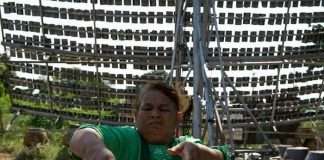 Жаровня на сонячних променях (4 фото)