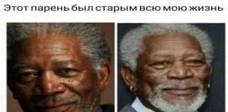 Підбірка легкого гумору. Частина 2 (36 фото)