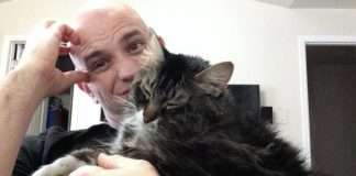 Хлопцеві довелося вибирати між дівчиною і кішкою (3 фото)