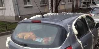 Застосування монтажної піни в побуті (18 фото)