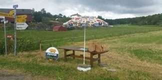 Столик самообслуговування в Норвегії (4 фото)