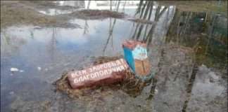 Забавні оголошення (30 фото)