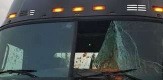 Контейнер з обідом влетів у лобове скло (4 фото)