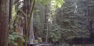 Заборонені місця, відвідування яких карається арештом або навіть смертю (10 фото)