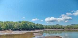 У Приморському краї через бездіяльність чиновників гине озеро (12 фото)