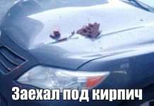 Добірка картинок. Вечірній випуск (50 фото)