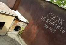 Прикольні вивіски і оголошення (31 фото)