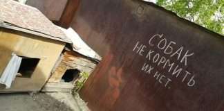 Прикольні вивіски і оголошення (31 фото)