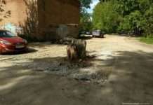 У Єкатеринбурзі старий пень посеред дороги закатали в асфальт (3 фото)