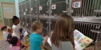 Американські школярі вшановували книги тварин з притулку (9 фото)