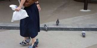 Туфлі у вигляді голубів (6 фото)