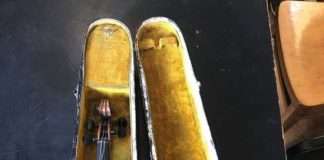 Українські прикордонники затримали чоловіка, який перевозив у багажнику автомобіля скрипку Страдіварі (4 фото)