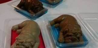 Пудинг у формі собаки (4 фото)