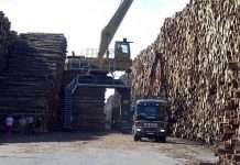 Найбільше у світі сховище деревини в Швеції (6 фото)