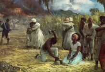 Автори victoria 3 захистили право на рабів у грі