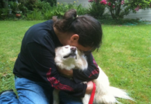 У росії з’явився перший онлайн-сервіс пошуку тварин, заснований на ші