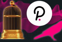 Парачейни polkadot і kusama: просто про криптовалюта для новачка