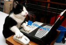 Microsoft розповіла про новий спосіб швидкого оновлення до windows 11 без чистої установки ос