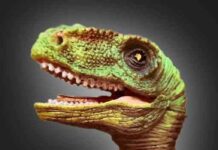 У мережі помітили процесор intel raptor lake з 24 ядрами і 32 потоками