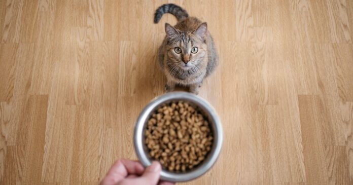 2513d219-4195-48c0-b0dc-e892940d0429