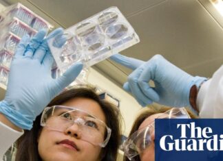 «Пациенты пострадают»: истории с передовой фармацевтического кризиса в Великобритании