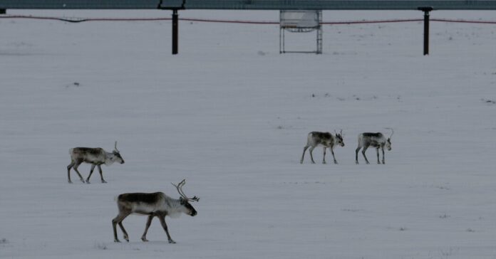 4c433070-1755-4dbb-8631-e2d47e8d6f1d