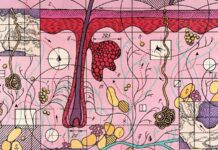 Просторова мультиоміка: революція в персоналізованій медицині