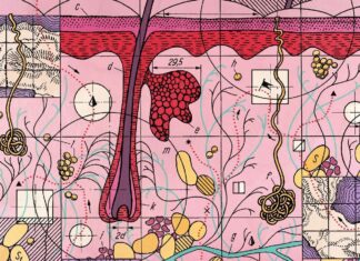 Просторова мультиоміка: революція в персоналізованій медицині